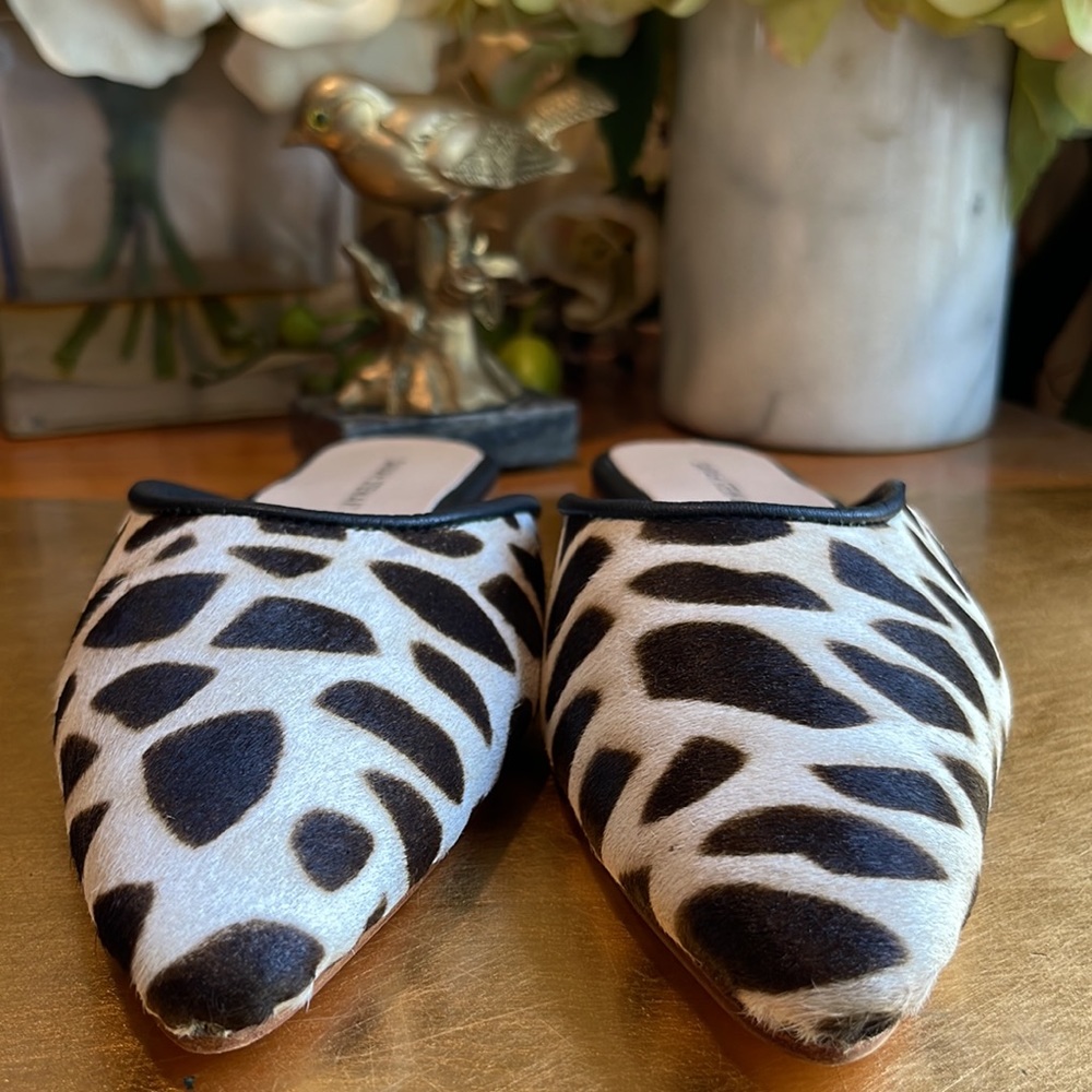 NWOT! Sarah Stewart Mabrey Mule